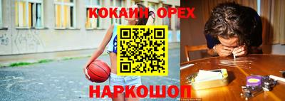 СК Кингисепп