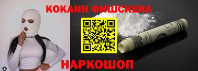СК Кингисепп