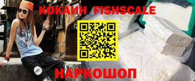 СК Кингисепп