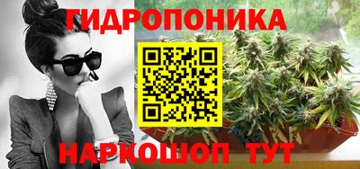 СК Кингисепп