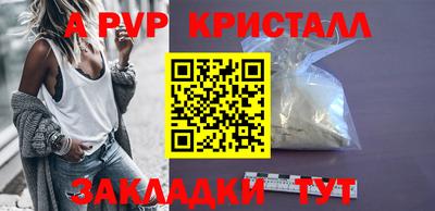 СК Кингисепп
