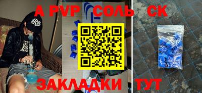 СК Кингисепп