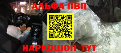 СК Кингисепп