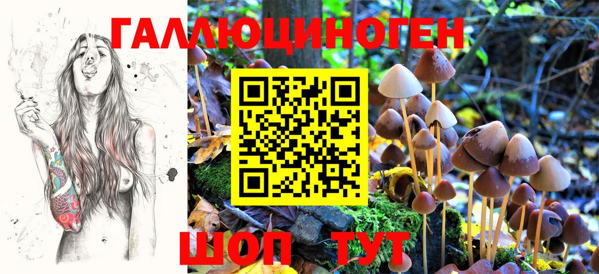 Котлас  Псилоцибиновые грибы GOLDEN TEACHER  Вход с VPN 