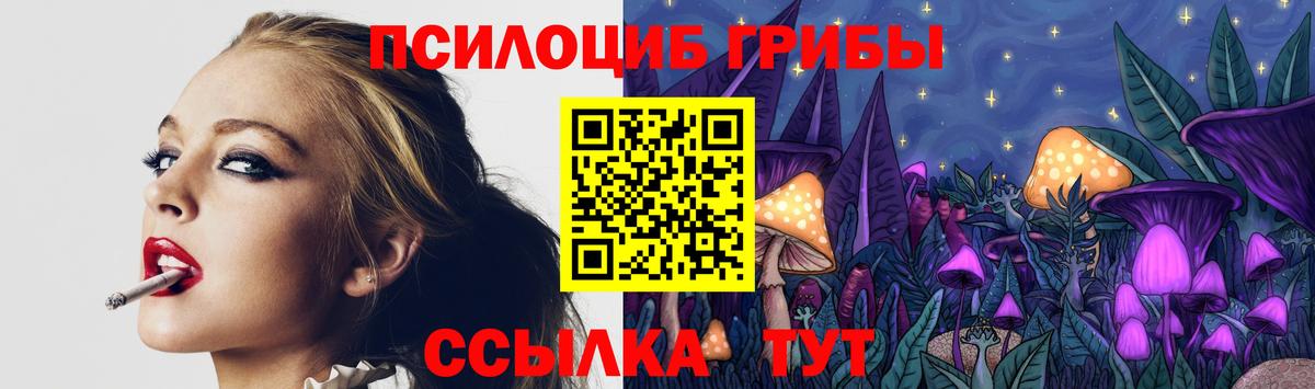Галлюциногенные грибы Psilocybine cubensis Котлас